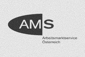 ams-social-media-agentur-wien