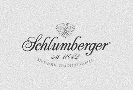 schlumberger-online-marketing-agentur